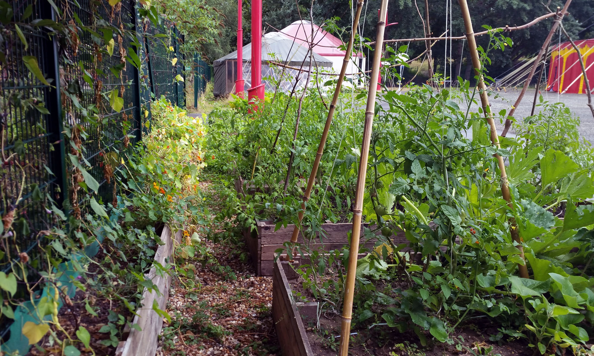 cirque_potager_04