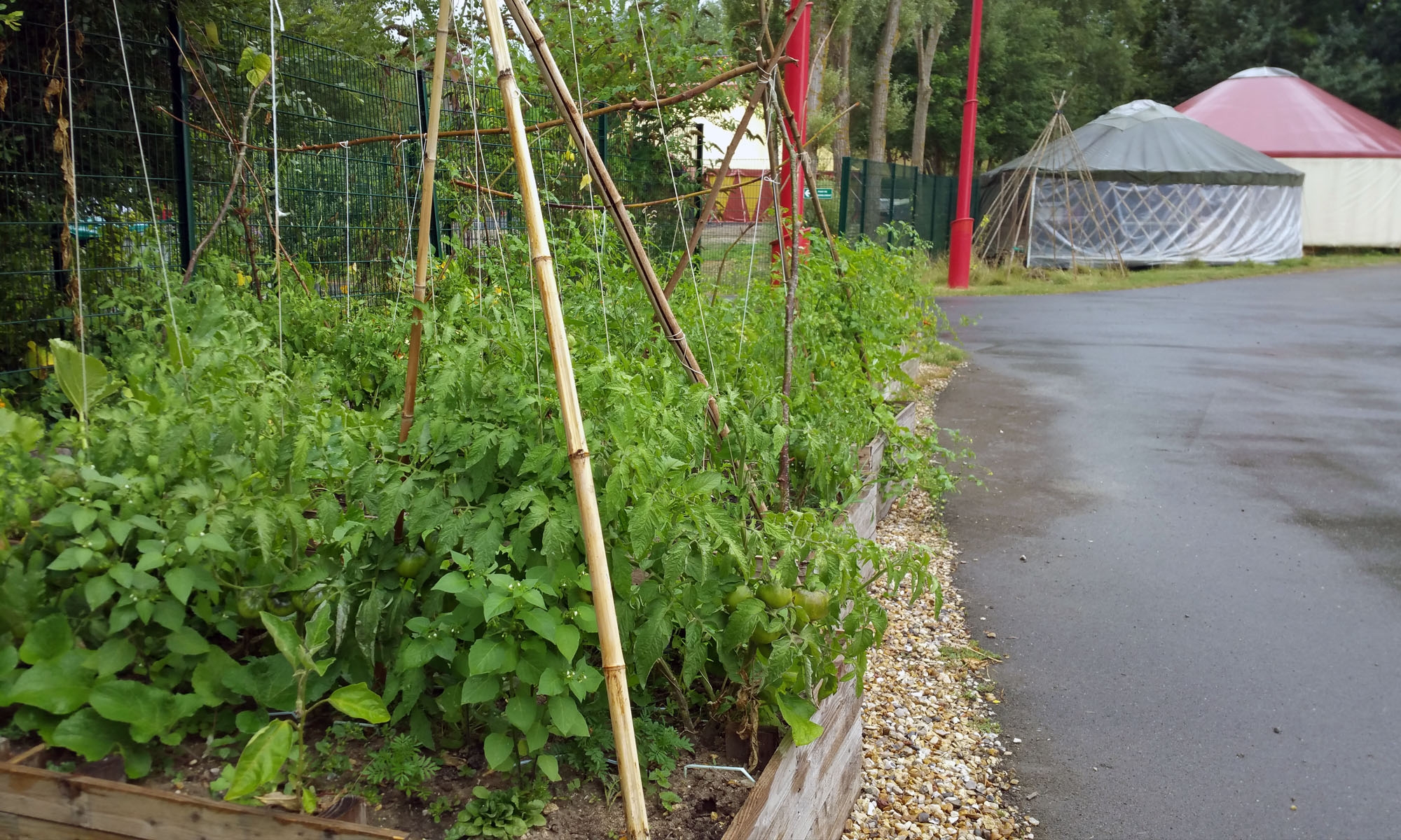 potager_09